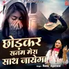 About Chhodkar Sanam Mera Sath Jayega Song